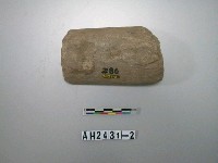 藏品(石杵)的圖片